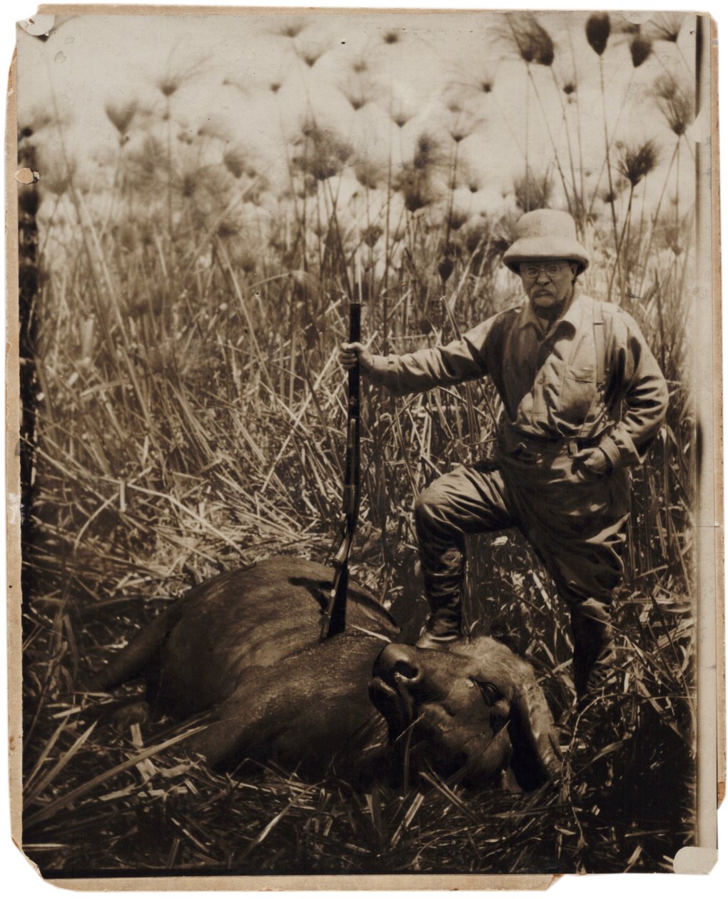 Kol. Roosevelt naast een waterbuffel die hij heeft geschoten door Kermit Roosevelt