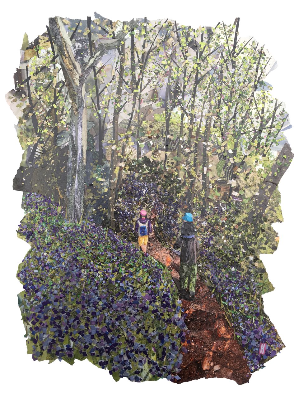 Spring Bank door Kirstie Adamson