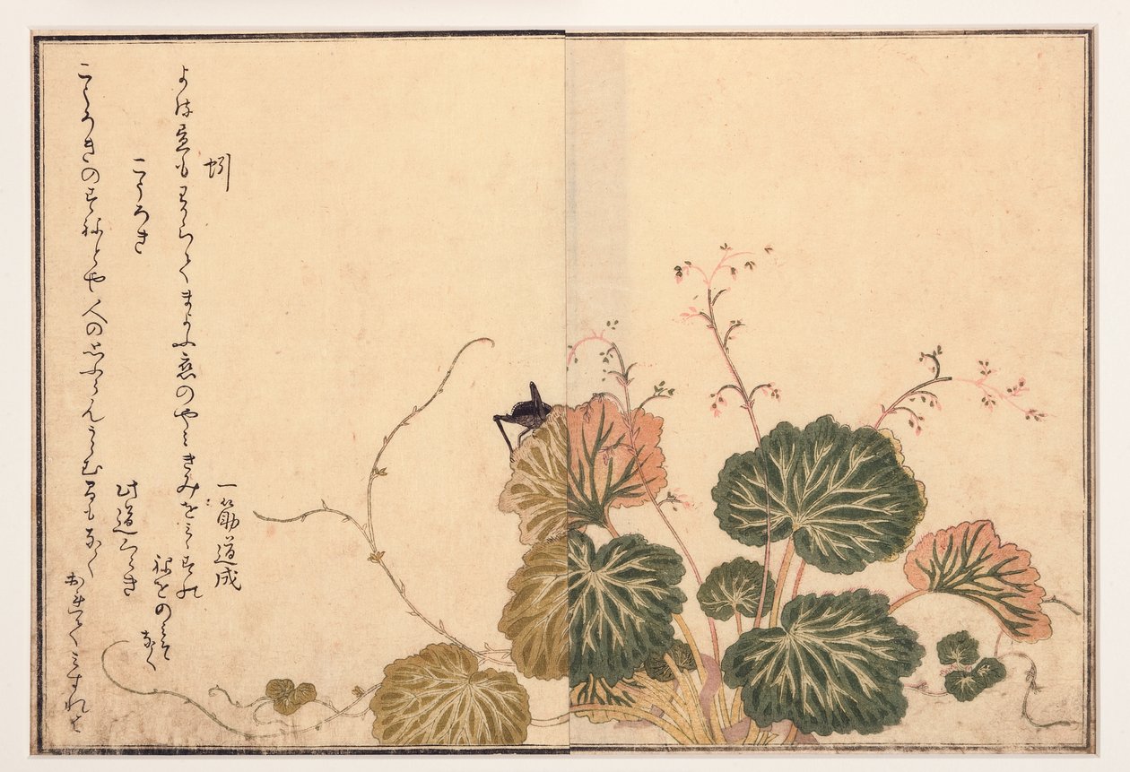 Aarde worm en zwarte krekel, 1788 door Kitagawa Utamaro