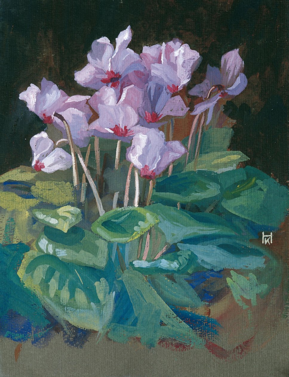 Cyclamen door Klara Hasslwander
