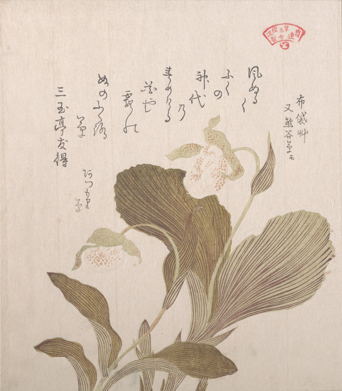 Hotei bloemen, 19e eeuw door Kubo Shunman
