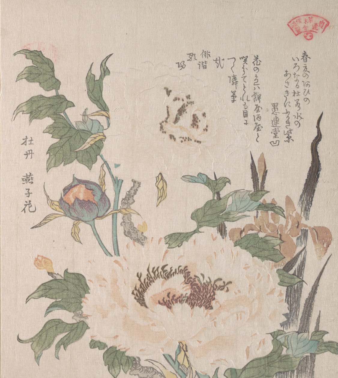 Pioenen en Iris door Kubo Shunman