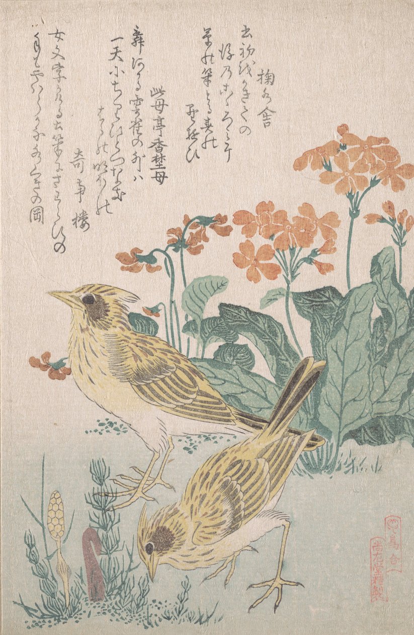 Veldleeuweriken en sleutelbloemen, ca. 1805-10 door Kubo Shunman