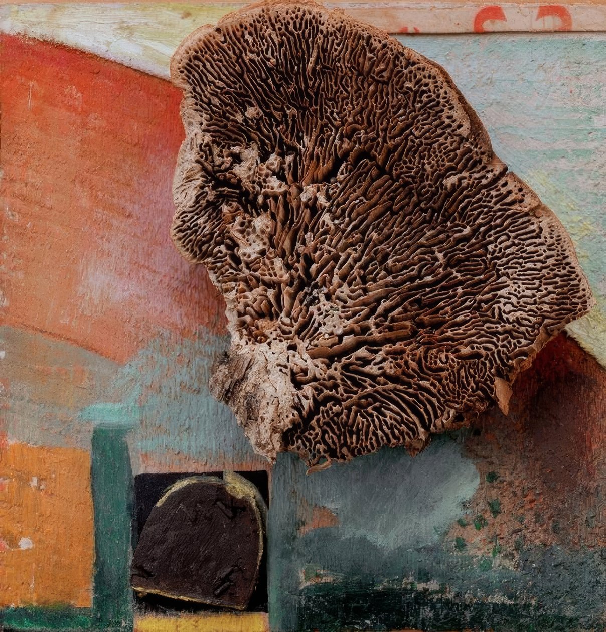 Zonder titel (Merzbeeld met koraal) door Kurt Schwitters