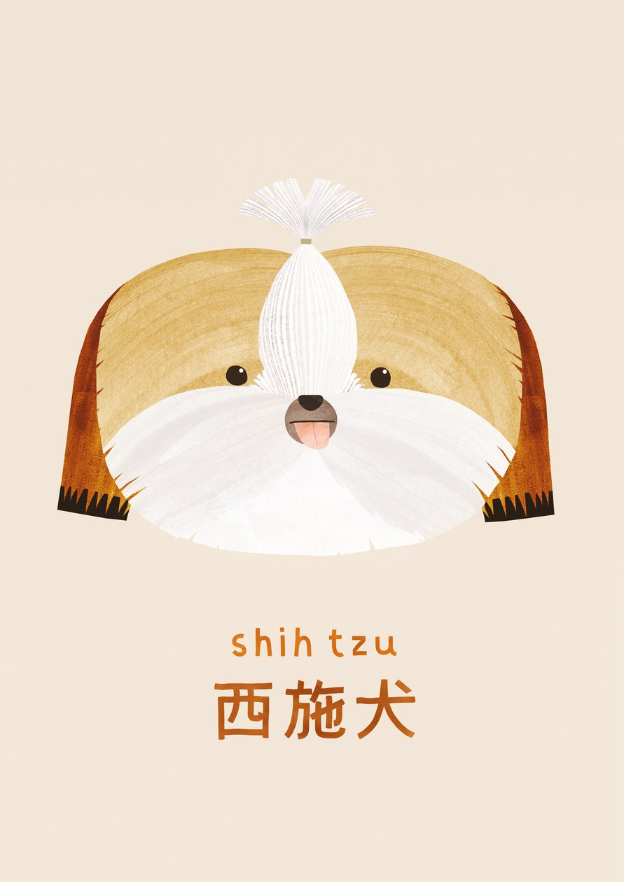 Shih tzu, 2019 door Léa Le Pivert
