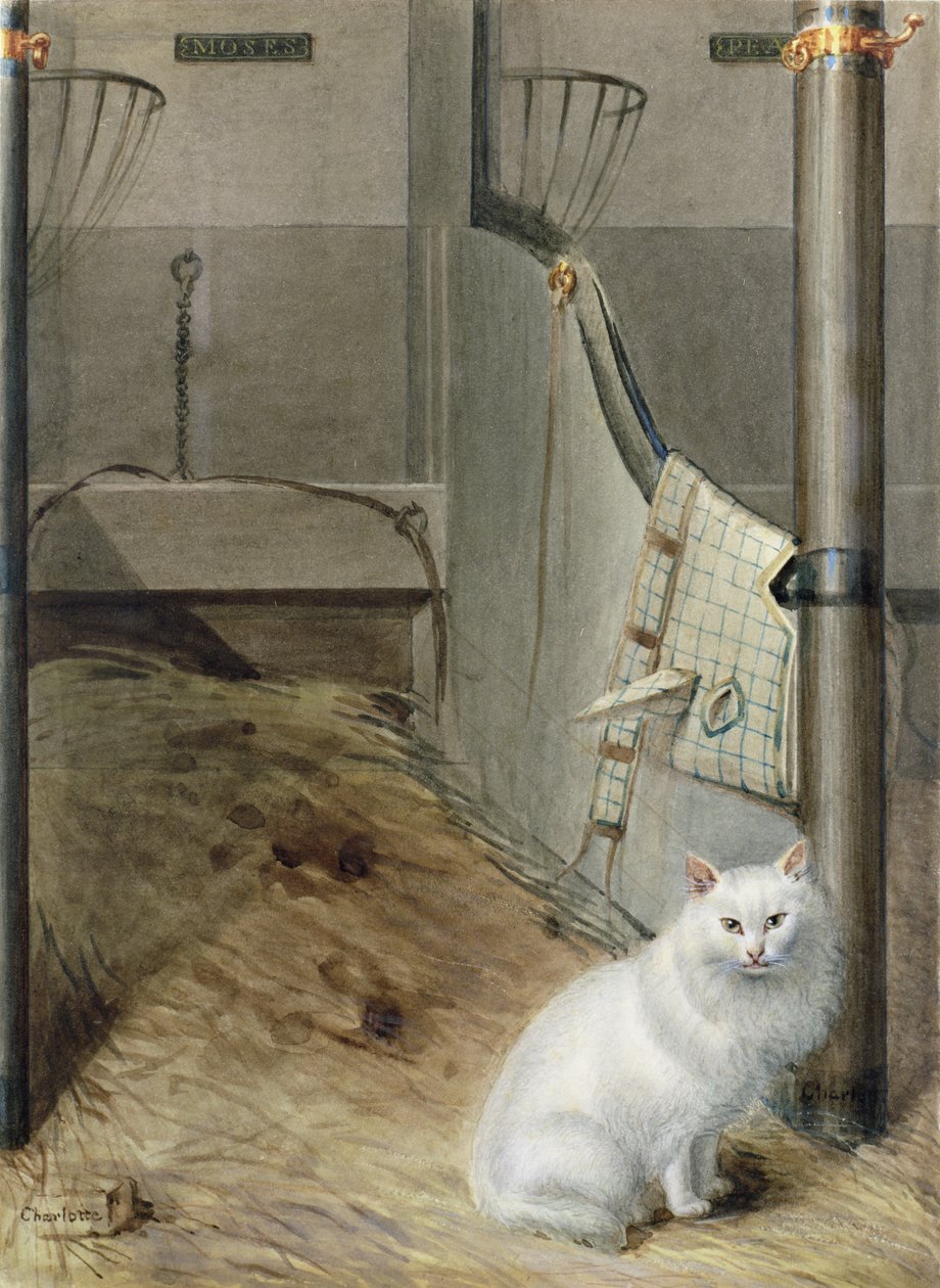 Witte Perzische Kat in een Stal door Lady Charlotte Schreiber