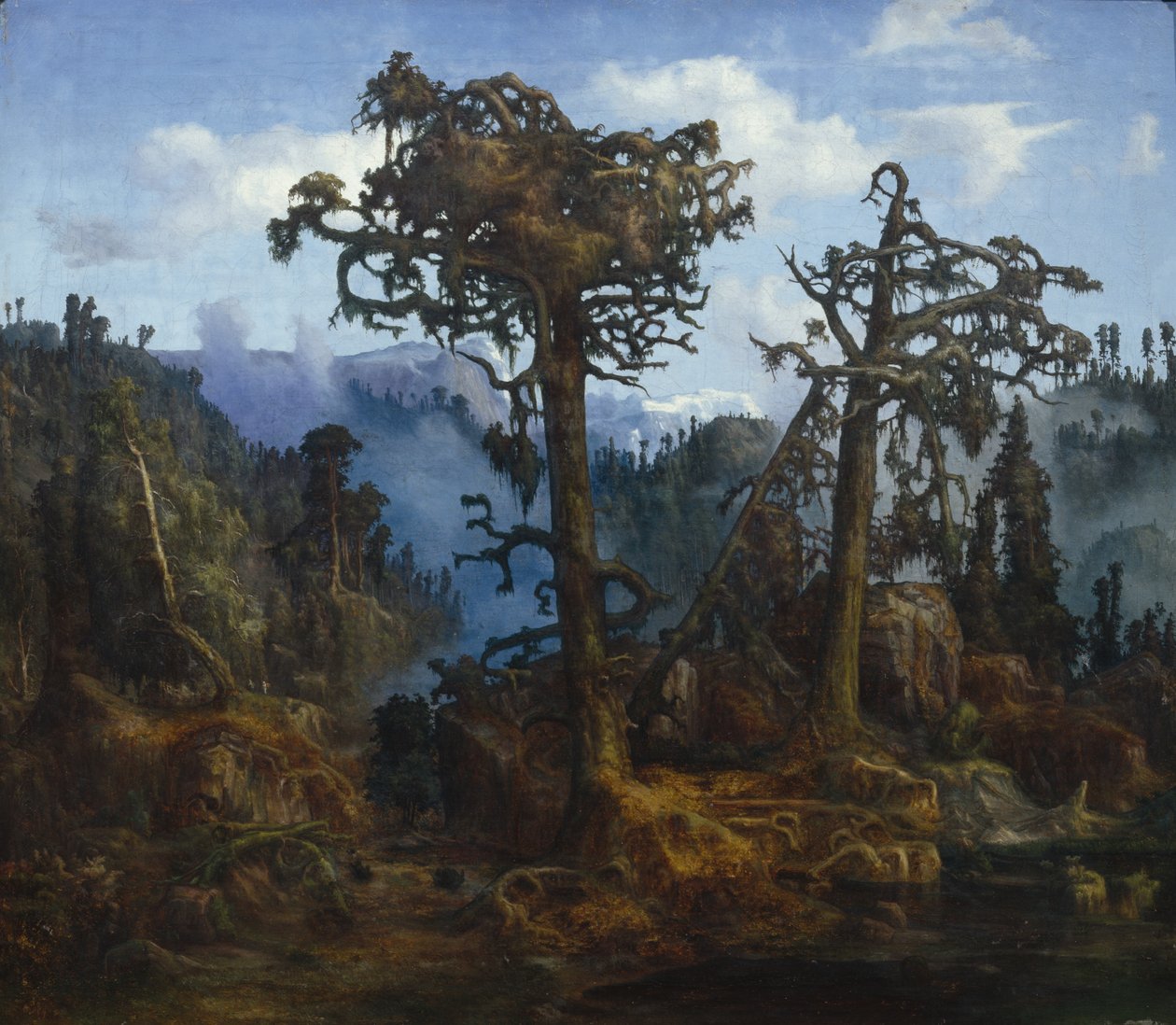 Oude dennen door Lars Hertervig