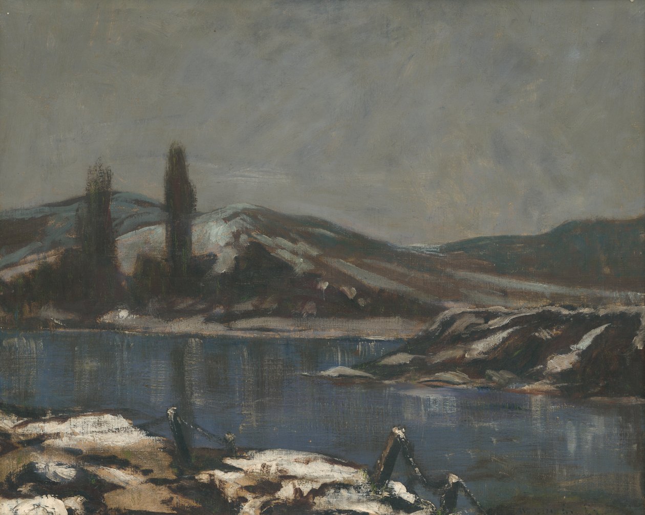 Považská landschap door Laszlo Mednyanszky