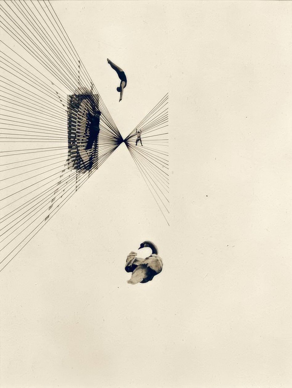 Leda en de Zwaan door Laszlo Moholy Nagy