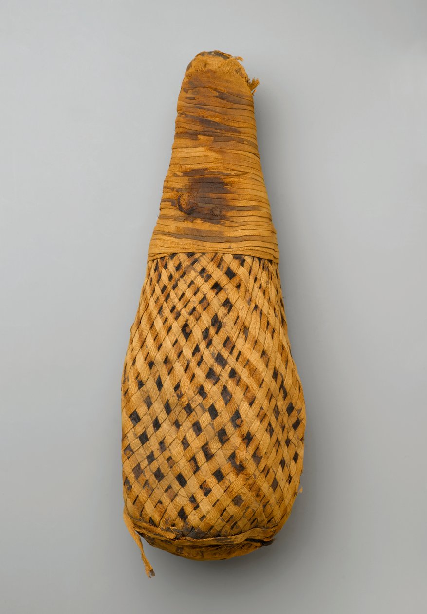 Mummie van een ibis, 664-332 v.Chr. door Late Period Egyptian
