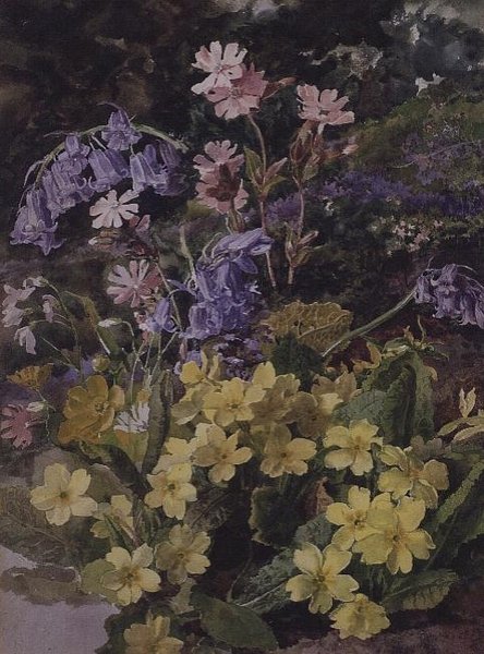 Studie van Bloemen door Laura Darcy Strutt