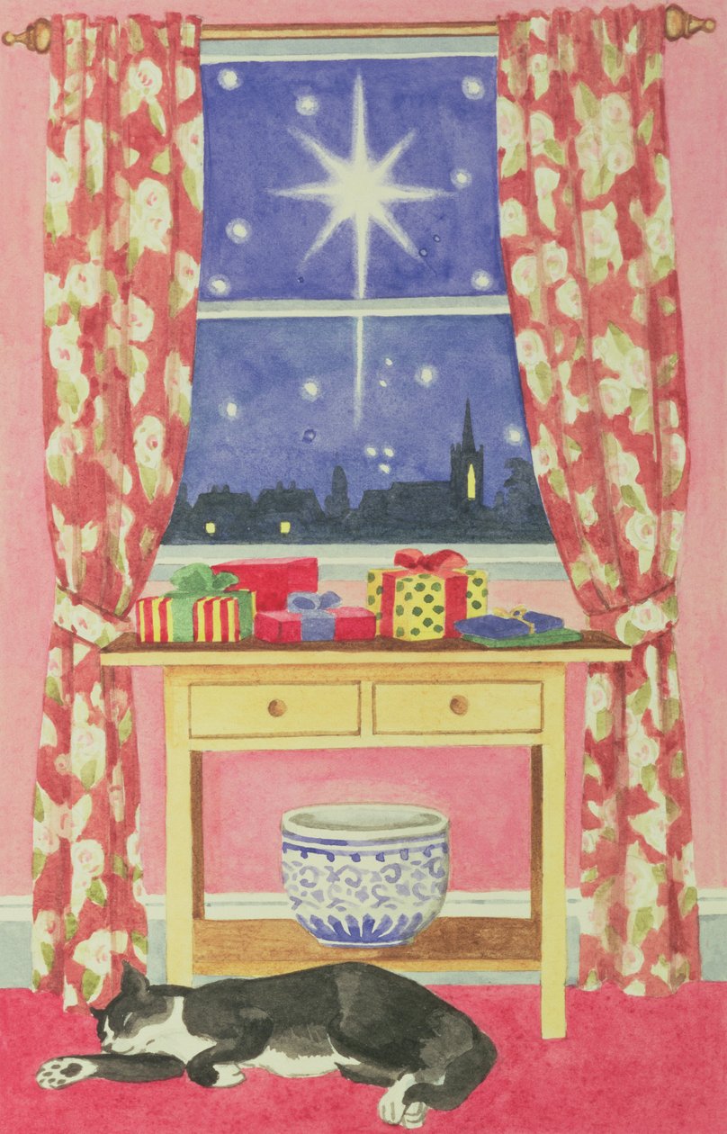 Sterrennacht door Lavinia Hamer