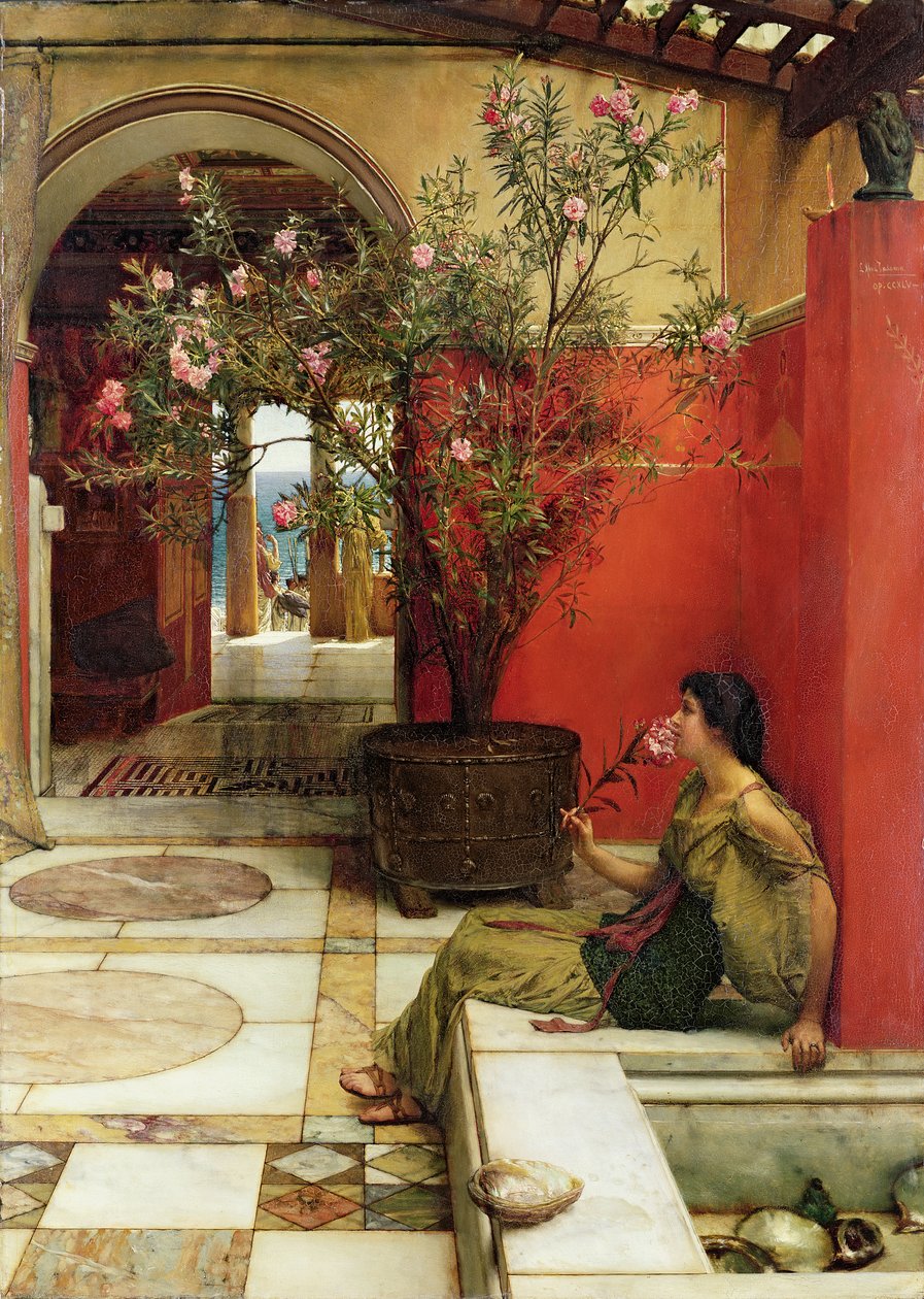 Een Oleander door Lawrence Alma Tadema