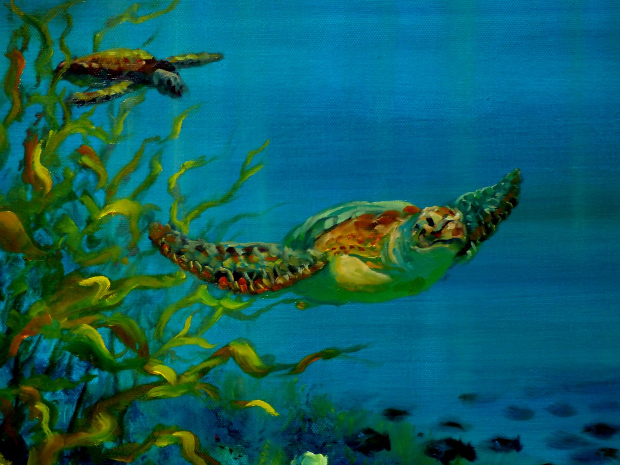 Groene Schildpad door Lee Campbell