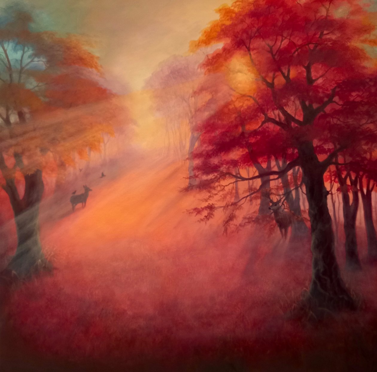 Parklicht door Lee Campbell
