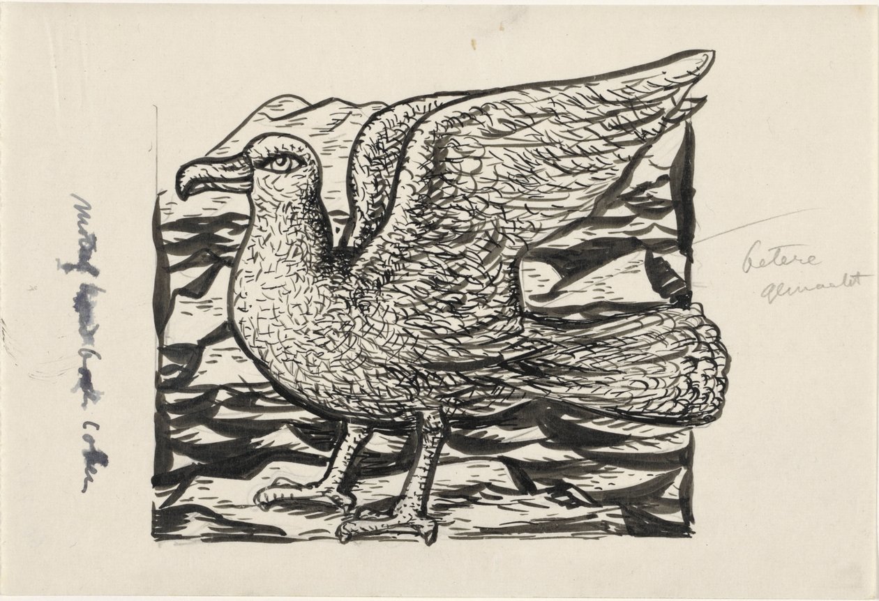 Meeuw door Leo Gestel