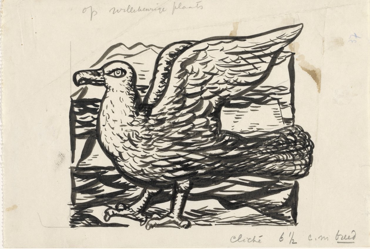 Zeemeeuw door Leo Gestel