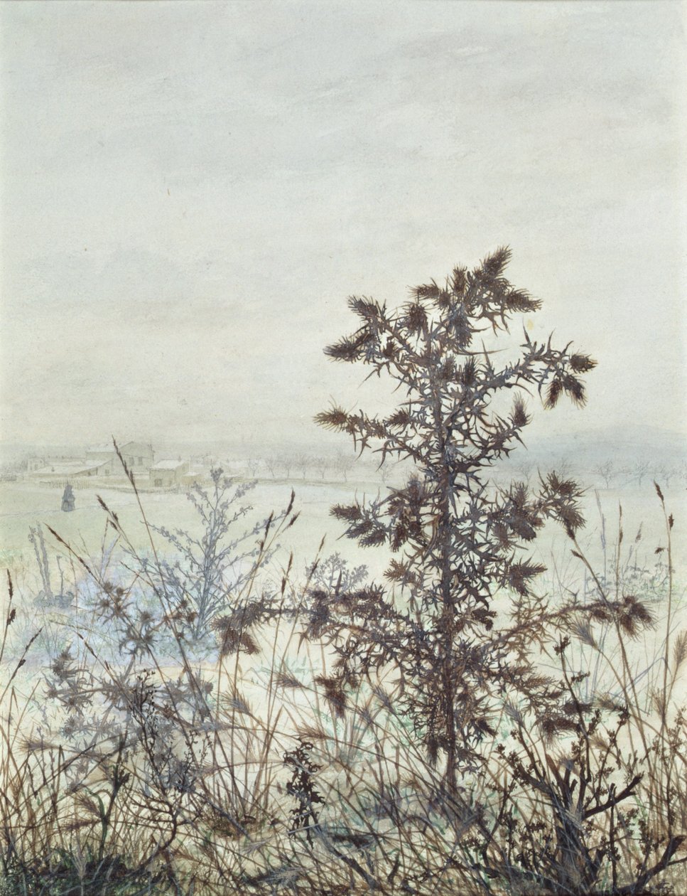 Distels en onkruid, 1864 door Léon Bonvin