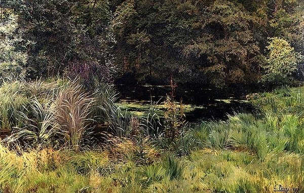 Landschap met Riet door Leon Louis Tanzi