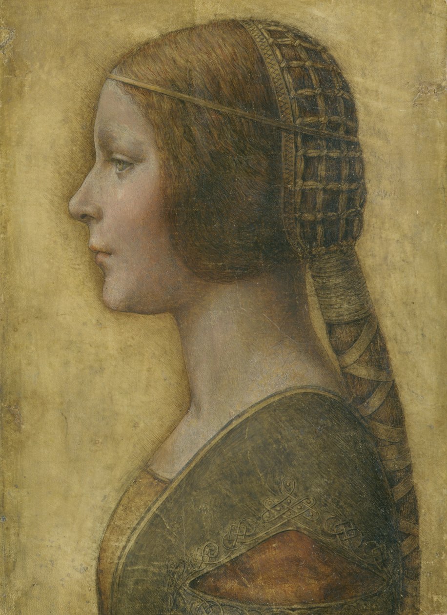 Mooie prinses door Leonardo da Vinci