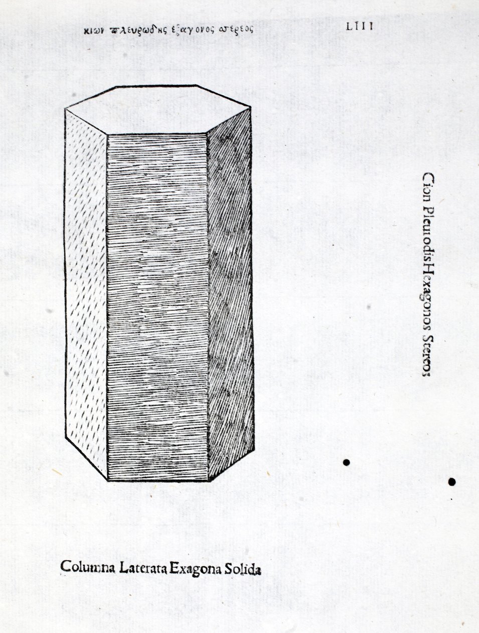 Columna laterata exagona solida, illustratie uit 