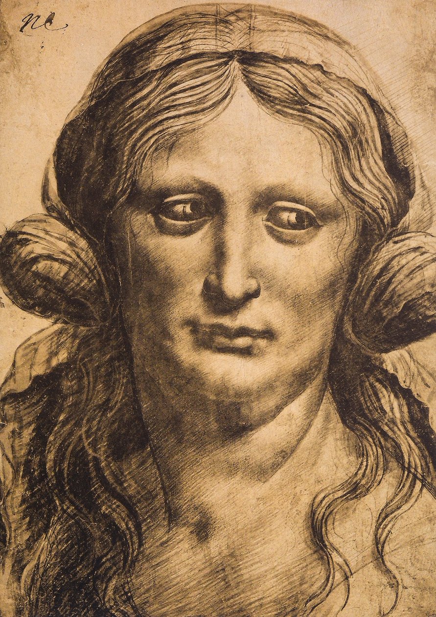 Vrouwelijk portret door Leonardo da Vinci