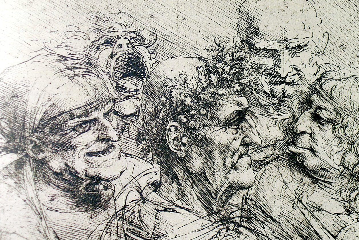 Grof Hoofd door Leonardo da Vinci