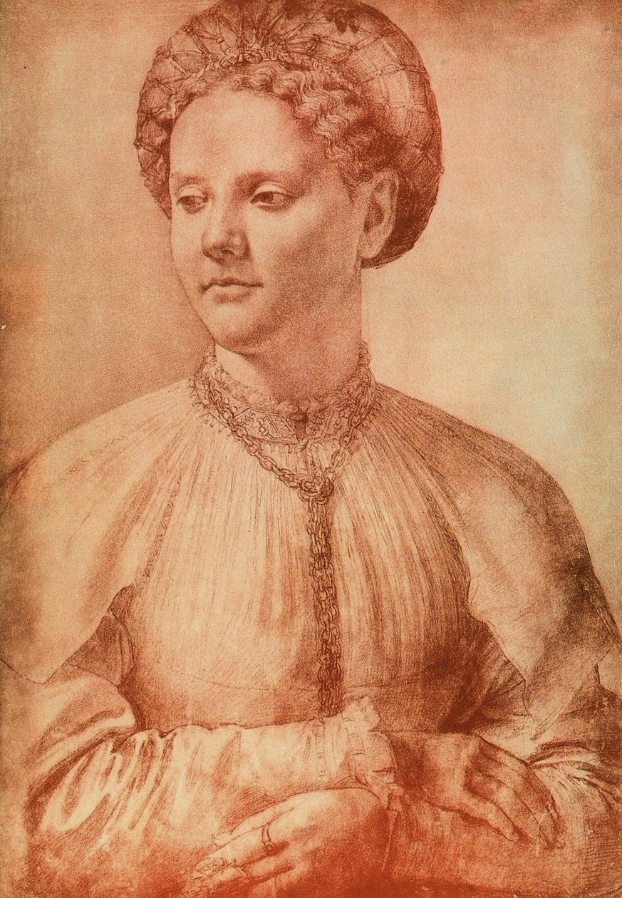 Portret van een edelvrouw, tekening door Leonardo da Vinci. Gabinetto dei Disegni e delle Stampe, Uffizi Gallery, Florence door Leonardo da Vinci