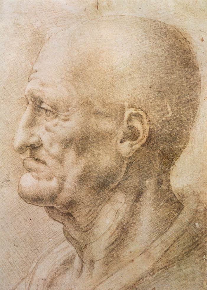 Profiel van een oude man door Leonardo da Vinci