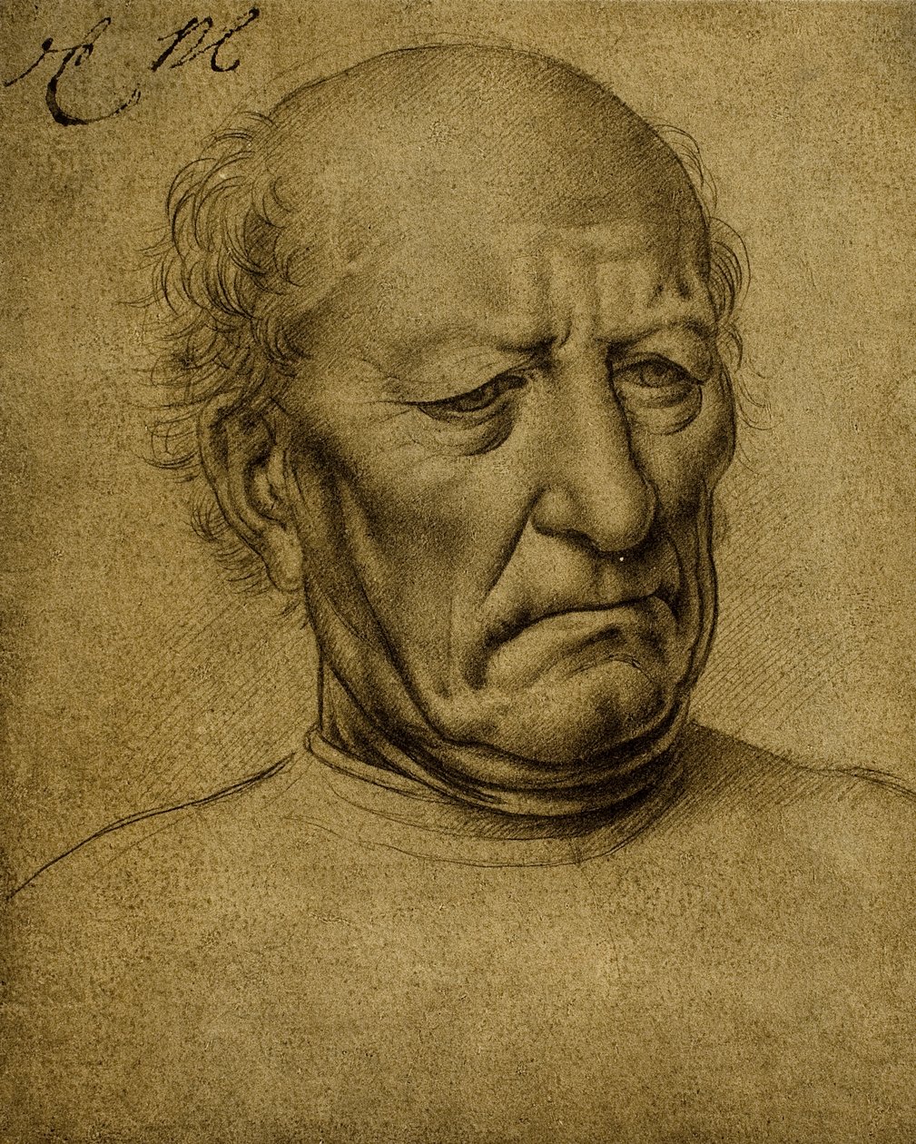 Seniel mannelijk portret door Leonardo da Vinci