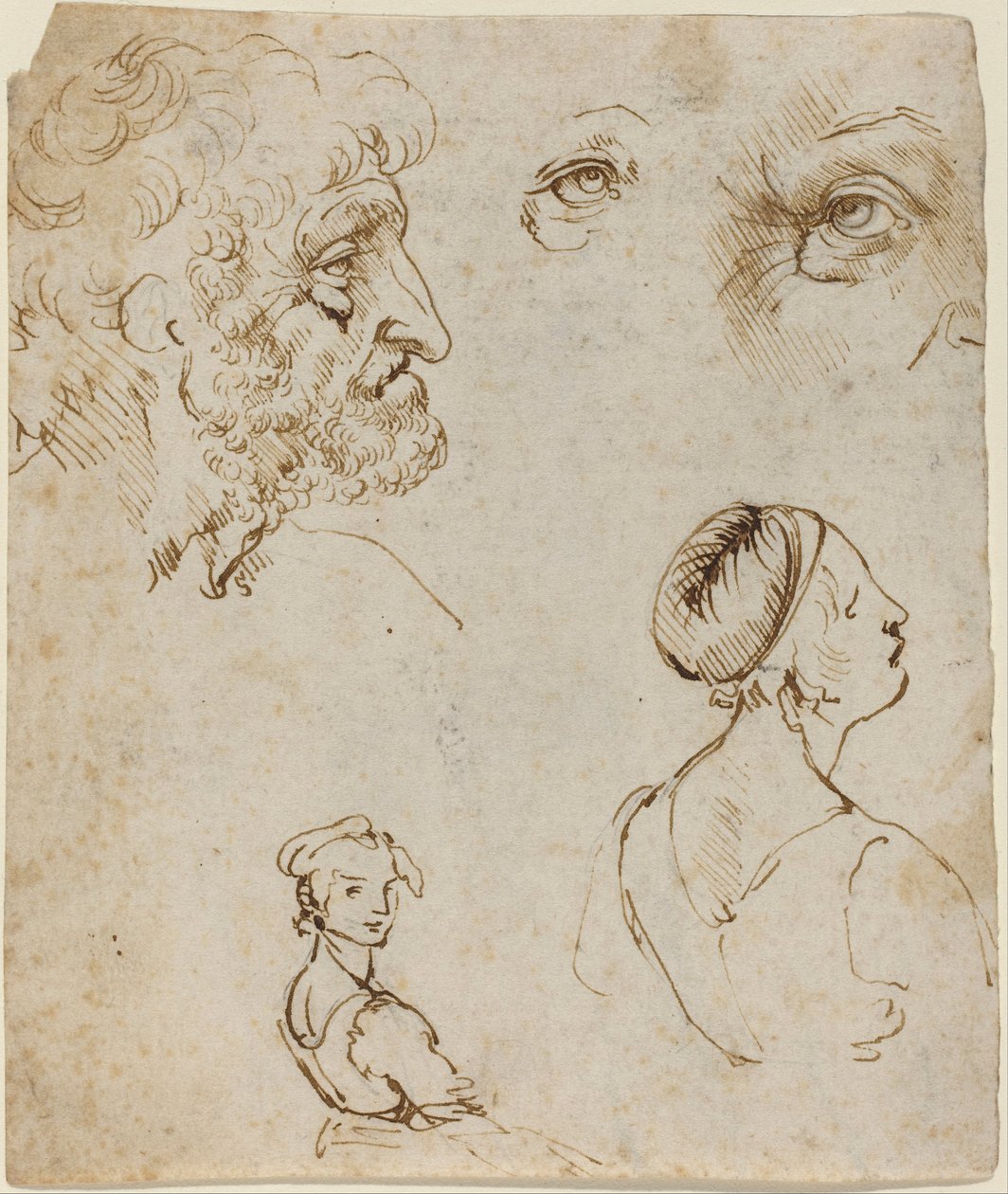 Blad met studies (recto) door Leonardo da Vinci