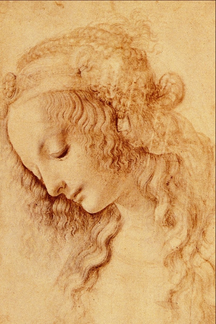 Teste di Donna di Profilo door Leonardo da Vinci