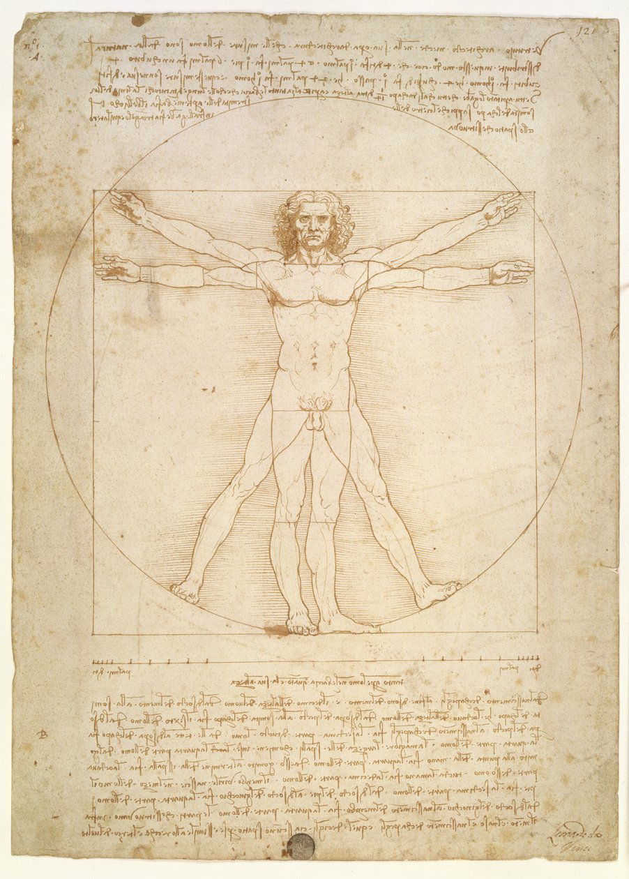 De Verhoudingen van het menselijk lichaam (naar Vitruvius), c.1492 door Leonardo da Vinci