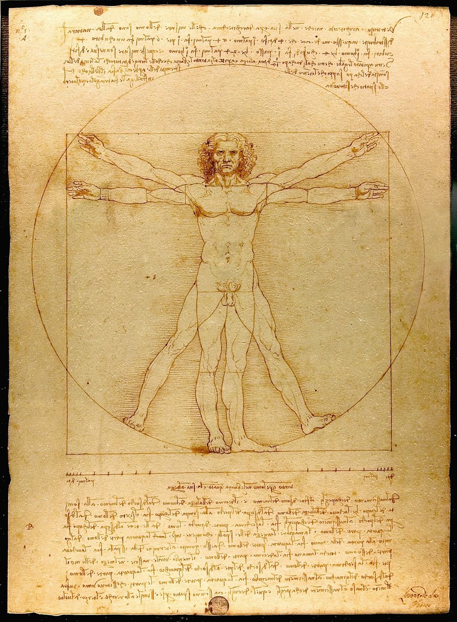 Vitruviaanse Man door Leonardo da Vinci