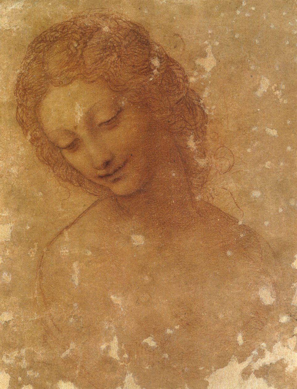Testa di Leda, Castello Sforzesco door Leonardo da Vinci