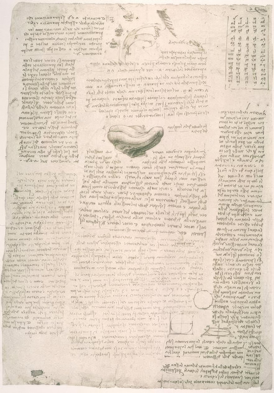 Anatomiestudies door Leonardo da Vinci