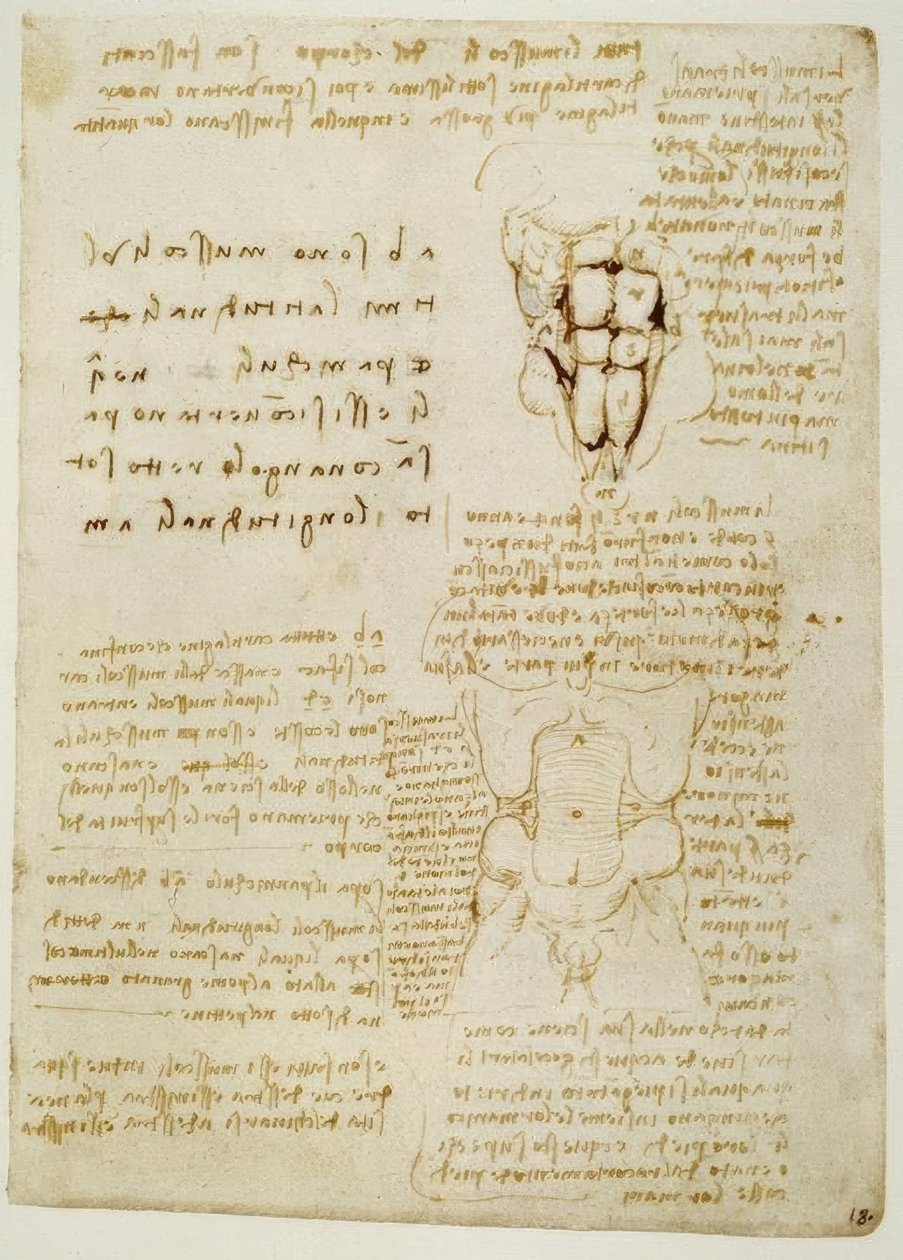 Anatomiestudies door Leonardo da Vinci