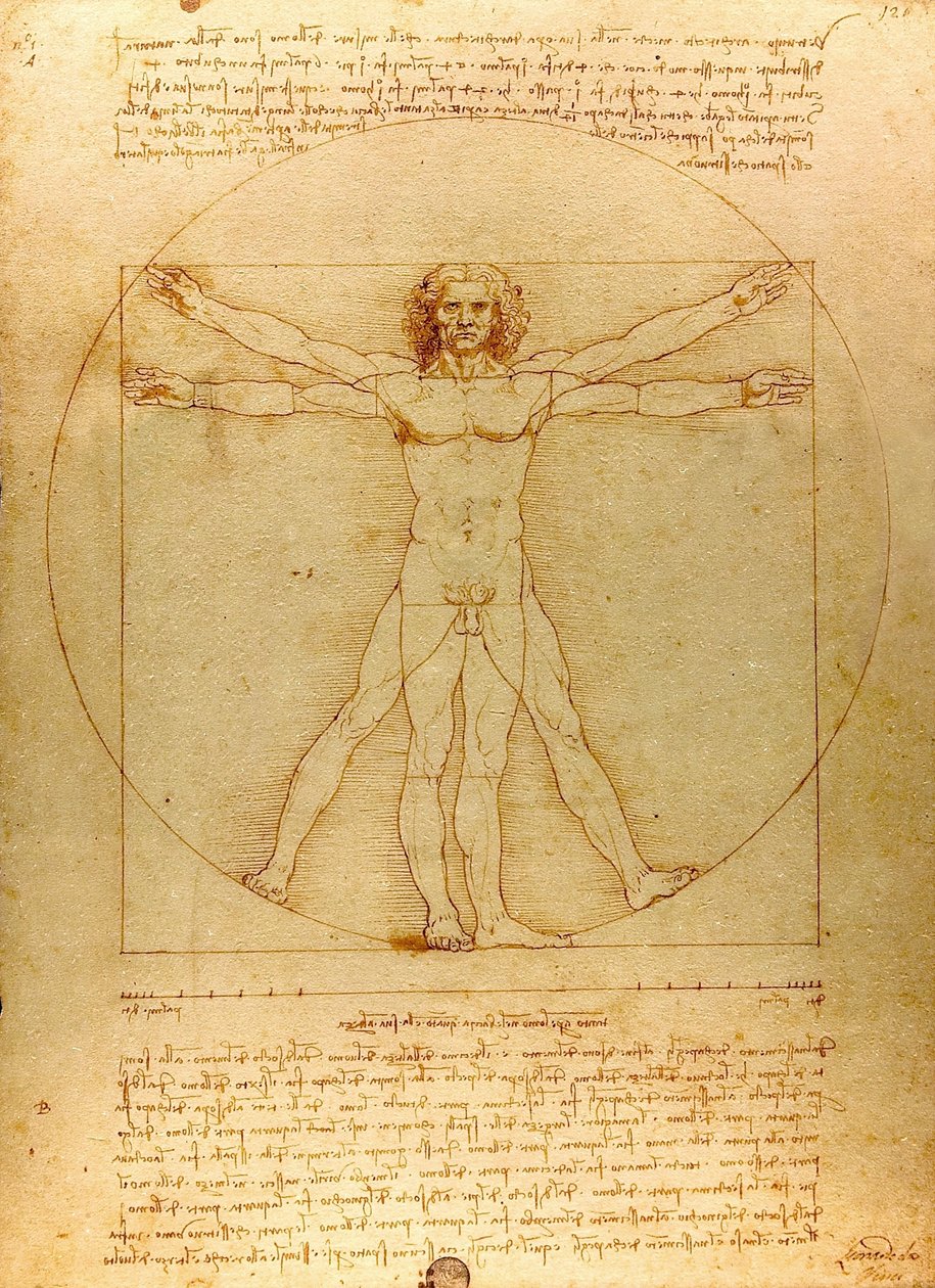Da Vinci Vitruve Luc Viatour (uitsnede) door Leonardo da Vinci