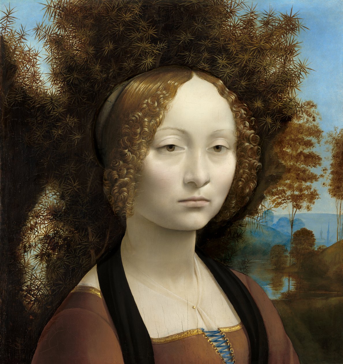 Ginevra de Benci door Leonardo da Vinci