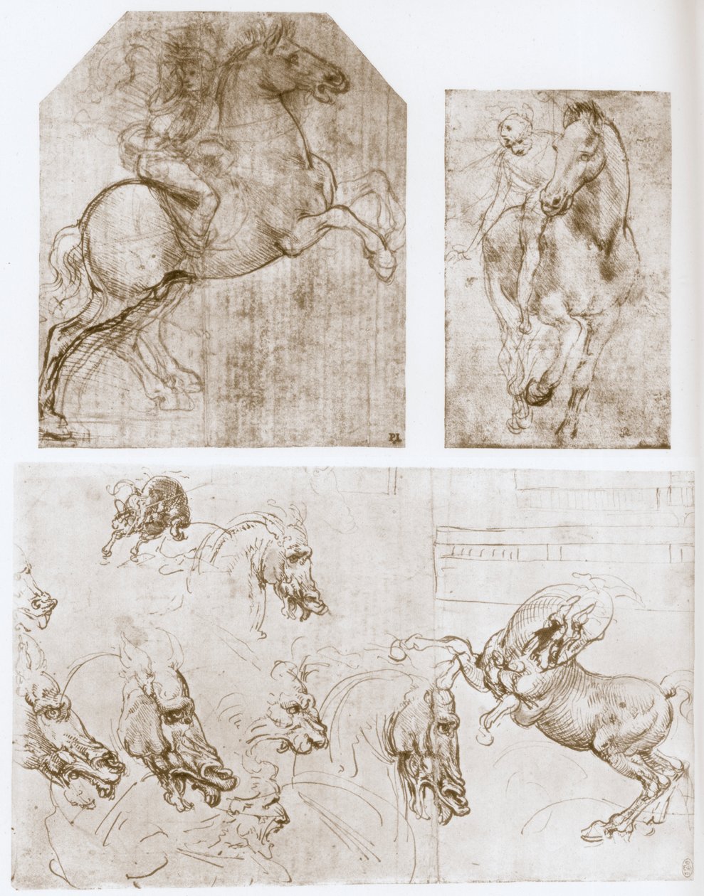 Ruiter, 1480-1481 door Leonardo da Vinci