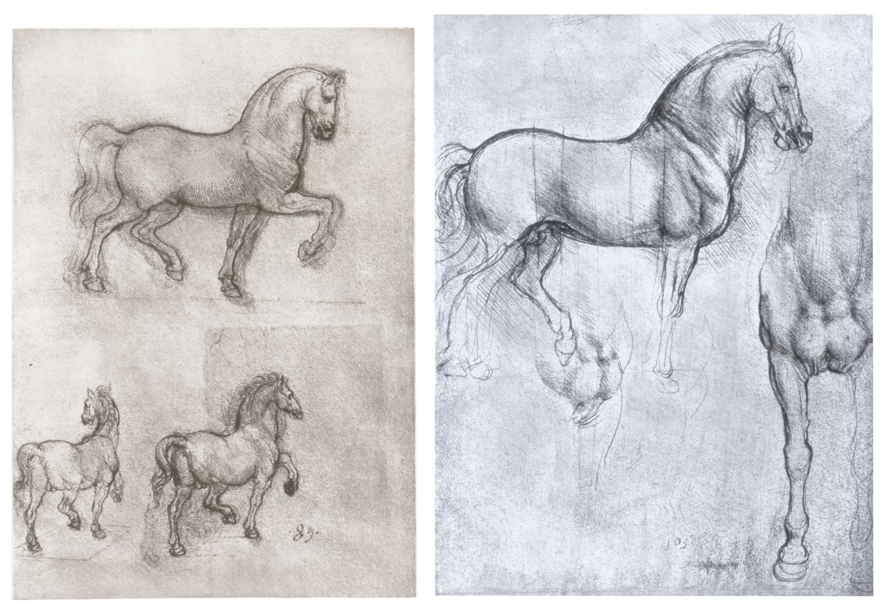 Paarden, ca. 1490-1510 door Leonardo da Vinci