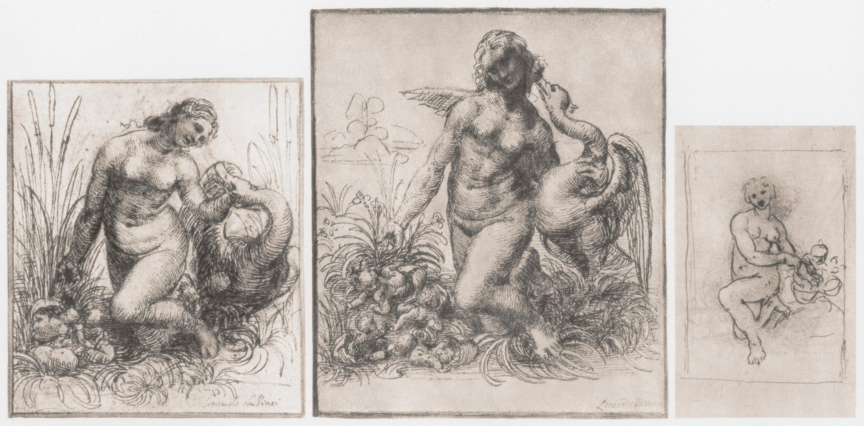 Leda en de Zwaan, ca. 1504-1506 door Leonardo da Vinci