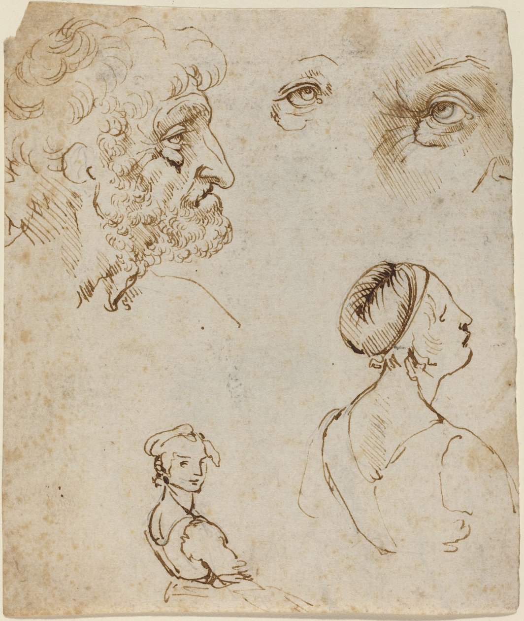 Blad met studies door Leonardo da Vinci