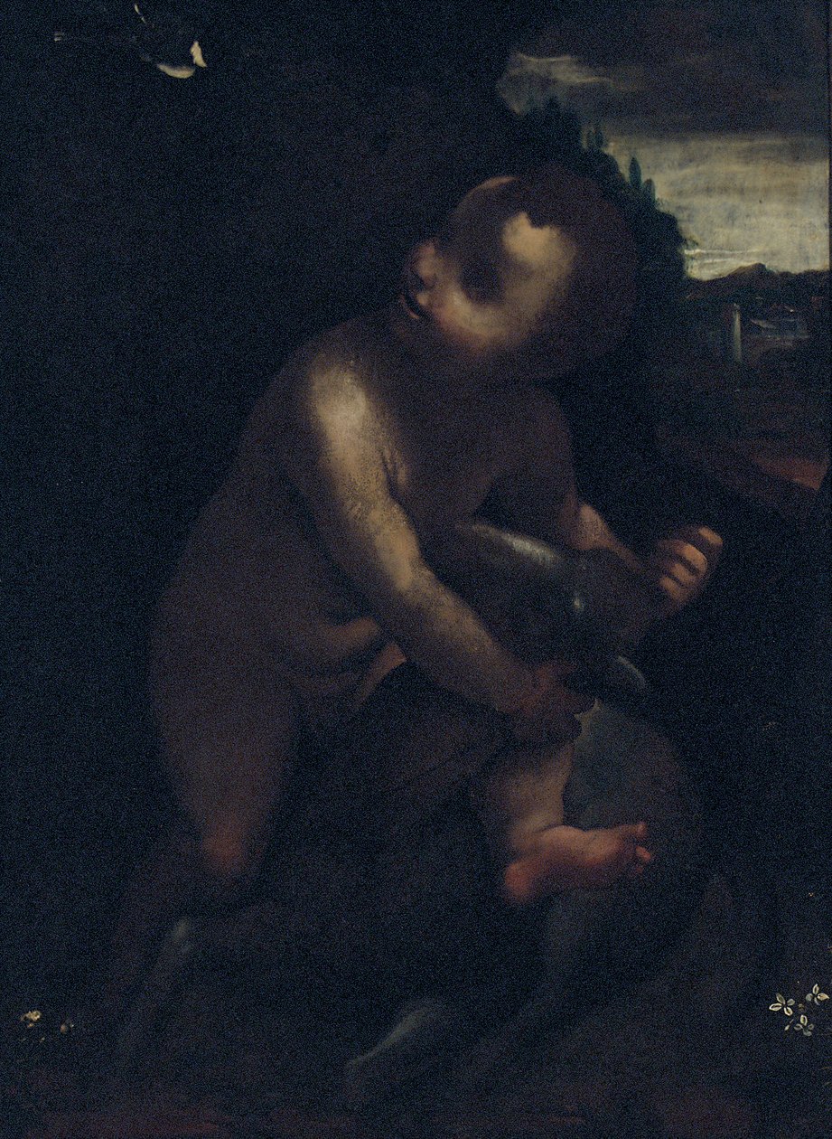De jonge Sint Johannes de Doper door Leonardo da Vinci