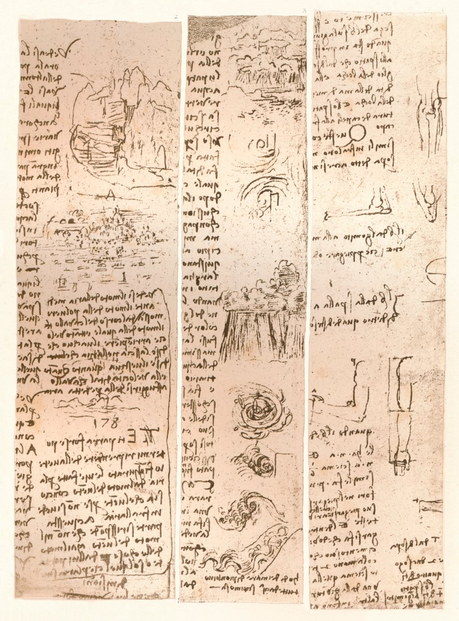 Drie tekeningen, c1472-c1519 1883 door Leonardo da Vinci