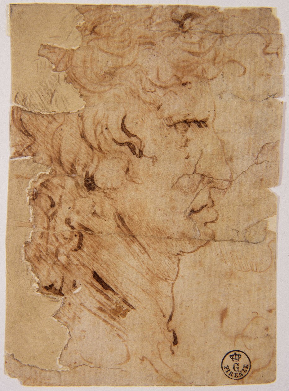 Onbekend beeld door Leonardo da Vinci
