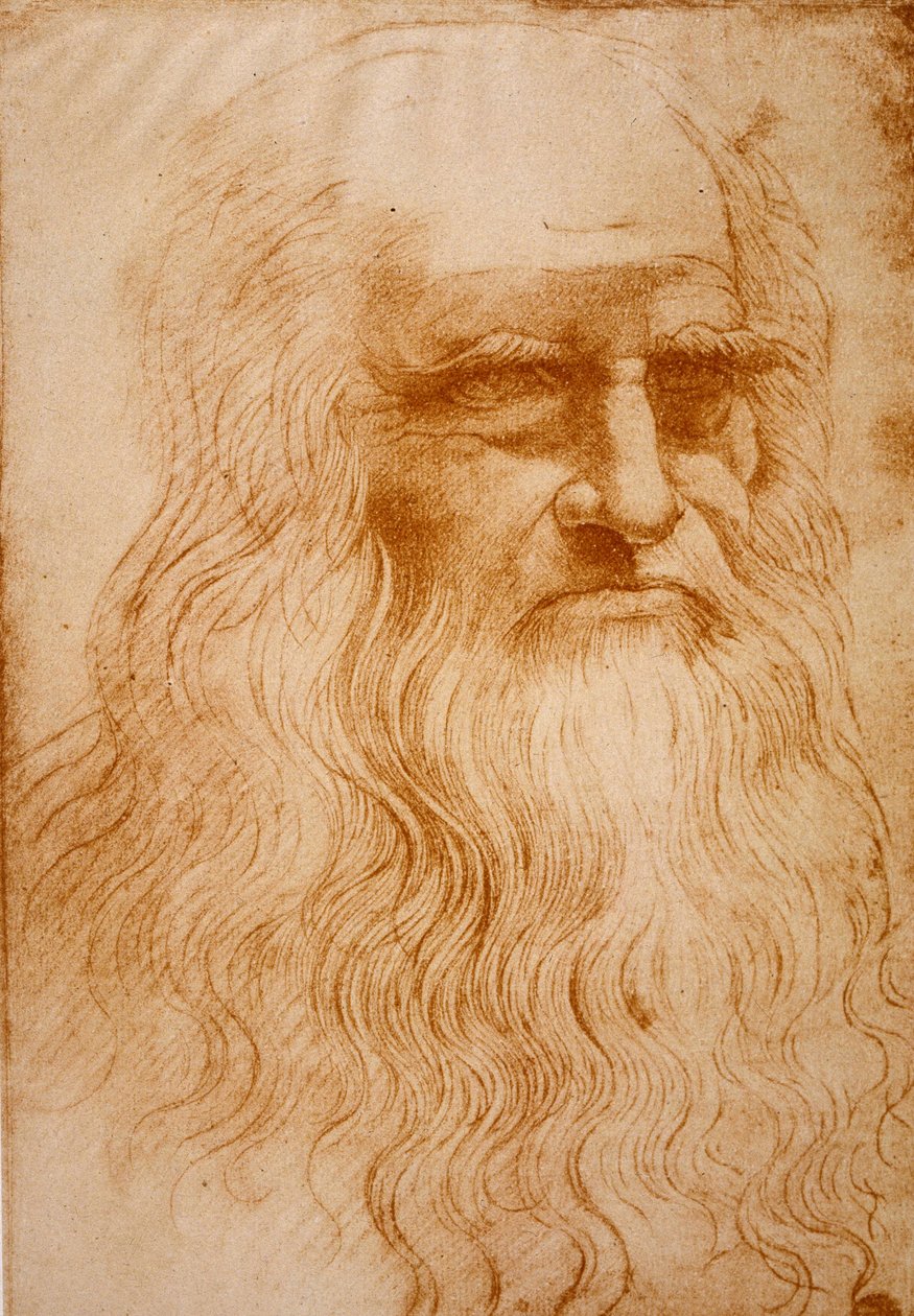 Onbekend schilderij door Leonardo da Vinci