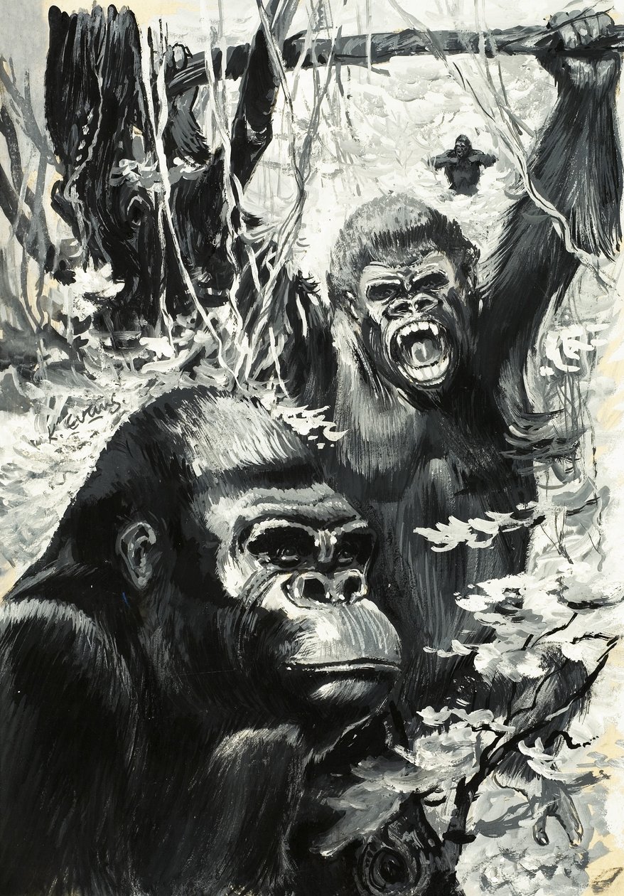 Gorilla