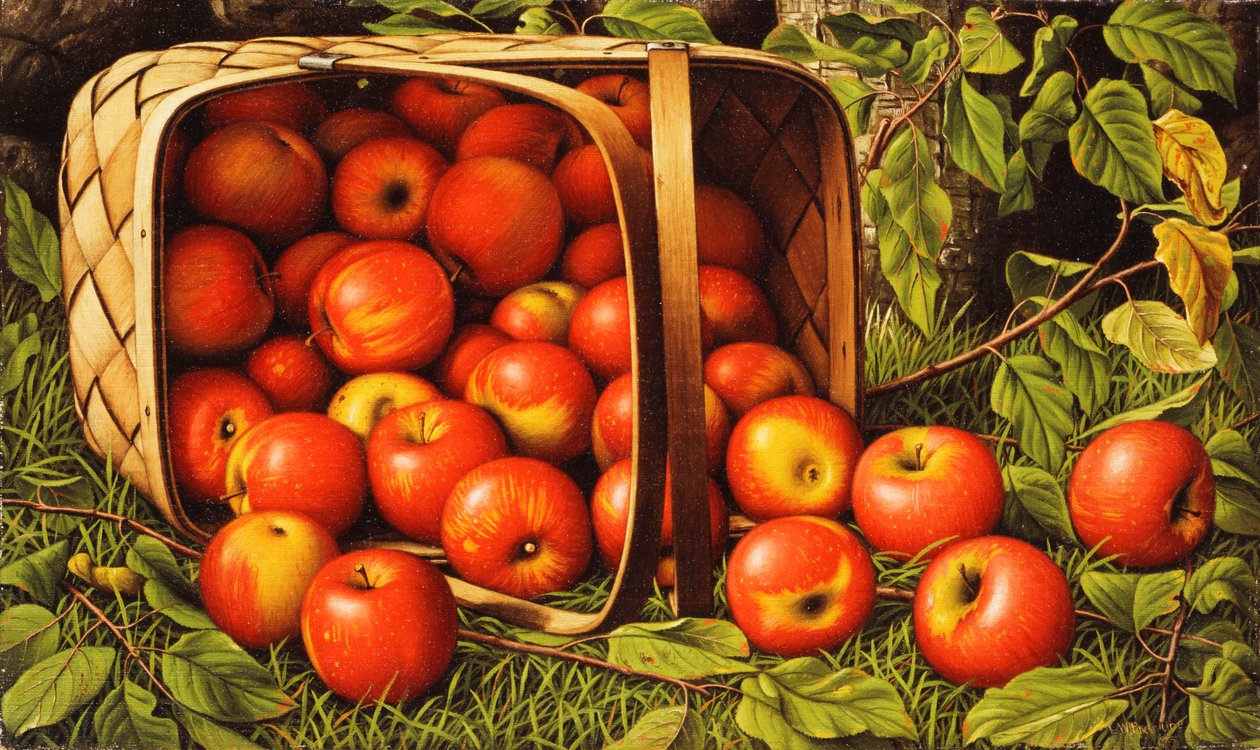 Mand met Appels door Levi Wells Prentice