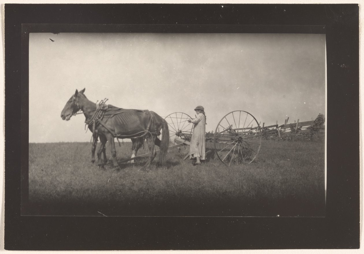 [Boerderijlandschap, Massachusetts]. door Lewis W. Hine